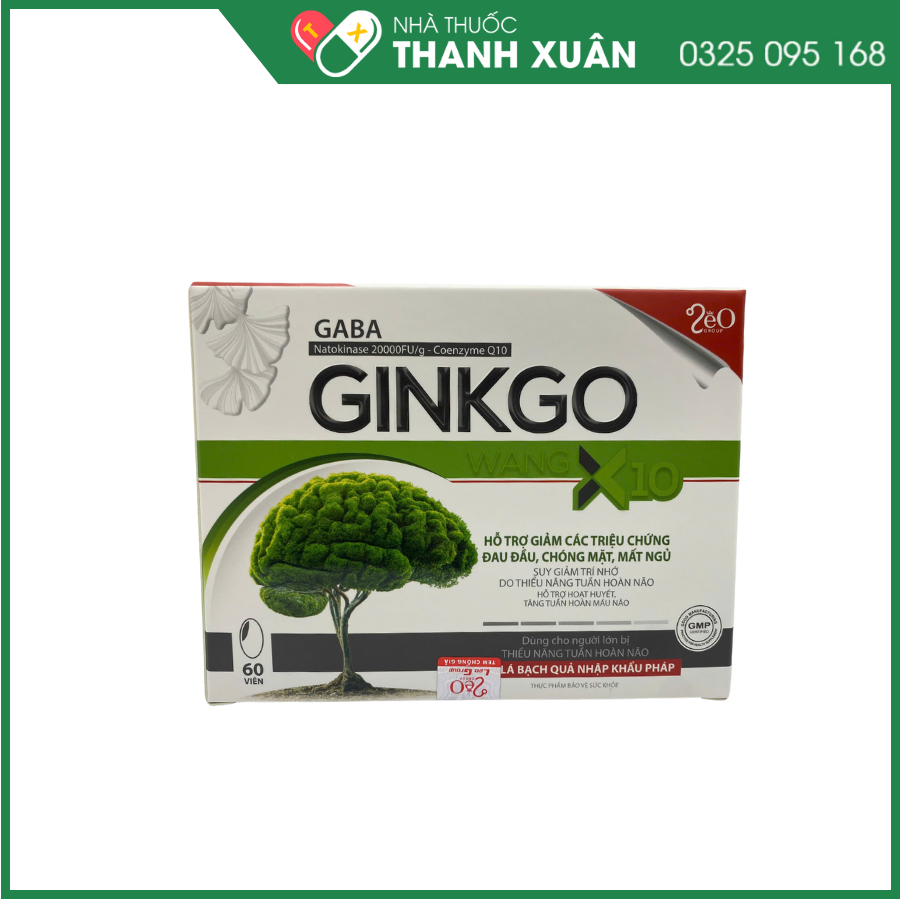 Gaba Ginkgo Wang X10 hỗ trợ hoạt huyết, tăng cường tuần hoàn máu não